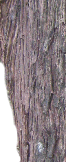 |
