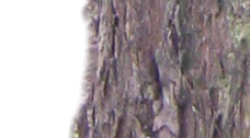+-