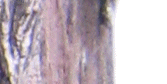 -+